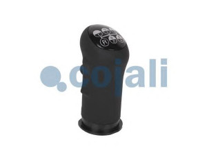 COJALI 2880158 pavarų svirties galvelė
20488058