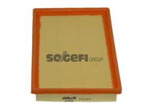 PURFLUX A303A oro filtras 
 Techninės priežiūros dalys -> Techninės priežiūros intervalai
J1320513, J1323007, HE1923603, HE19236039A