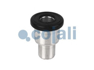 COJALI 6002236 remonto komplektas 
 stûmoklis