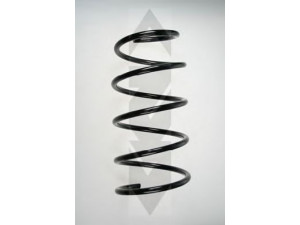 SPIDAN 49775 spyruoklė 
 Pakaba -> Spyruoklės
31 33 1 092 655