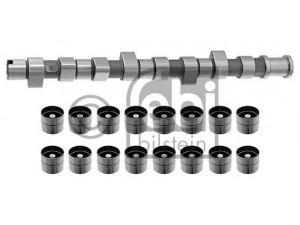 FEBI BILSTEIN 18810 skirstomojo veleno komplektas 
 Variklis -> Variklio uždegimo laiko reguliavimo kontrolė -> Skirstomasis velenas
0636 006, 0636 006 S1, 636 006 S1