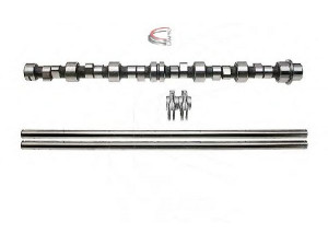 CAMPRO CP60620 skirstomojo veleno komplektas 
 Variklis -> Variklio uždegimo laiko reguliavimo kontrolė -> Skirstomasis velenas
1131 1276 441