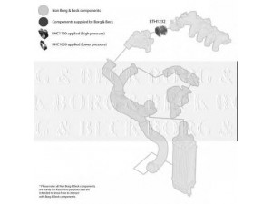 BORG & BECK BTH1232 kompresoriaus padavimo žarna 
 Išmetimo sistema -> Turbokompresorius
0382EY, 0382NZ, 0382EY, 0382NZ