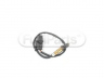 STANDARD LB2055 lambda jutiklis 
 Variklis -> Variklio elektra
1618.AS