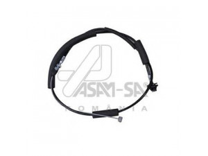 ASAM 30643 akceleratoriaus trosas
96316840