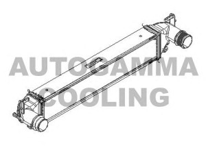 AUTOGAMMA 107542 tarpinis suslėgto oro aušintuvas, kompresorius
51965901
