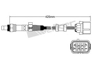WALKER PRODUCTS 250-25055 lambda jutiklis 
 Variklis -> Variklio elektra
36531 P07 003, 36531 PHM 024, 36531P07013