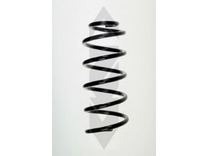 SPIDAN 56806 spyruoklė 
 Pakaba -> Spyruoklės
Q 0012187V001000000