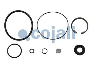 COJALI 6014011 remonto komplektas, greitinimo vožtuvas