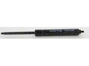 TRISCAN 8710 819207400 dujinė spyruoklė