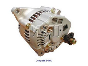 WAIglobal 13519R kintamosios srovės generatorius
3544119, 50038074