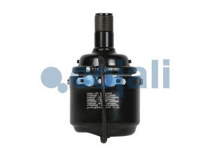 COJALI 2251306 spyruoklinis stabdžių cilindras
4207 0539, 4207 1449, 9844 6238