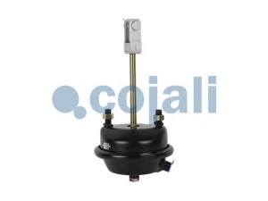 COJALI 2251107 diafragm. stabdžių cilindras