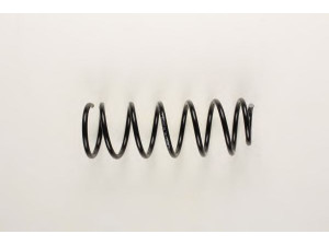 BILSTEIN 36-133390 spyruoklė 
 Pakaba -> Spyruoklės
6605152, 89 FB 5310 MA, 91 AB 5310 HA