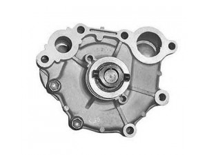MAGNETI MARELLI 352316171106 vandens siurblys
1610176030