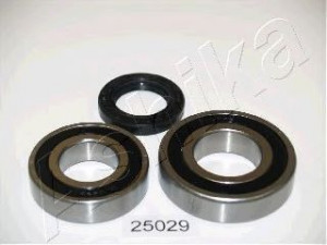 ASHIKA 44-25029 rato guolio komplektas 
 Ašies montavimas/vairavimo mechanizmas/ratai -> Rato stebulė/montavimas -> Rato guolis
MB092185