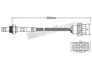 WALKER PRODUCTS 250-241024 lambda jutiklis 
 Išmetimo sistema -> Jutiklis/zondas
8 55 341, 90543281