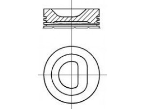 NÜRAL PI1611100DP STD stūmoklis