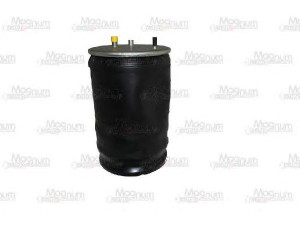 Magnum Technology 5002-03-0163P dėklas, pneumatinė pakaba 
 Pakaba -> Pneumatinė pakaba
5000 815 749, 5010 211 724, 5010052721
