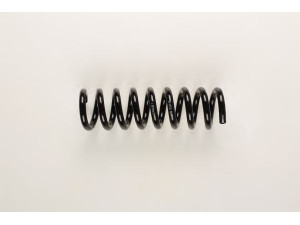 BILSTEIN 36-227211 spyruoklė 
 Pakaba -> Spyruoklės
211 324 08 04