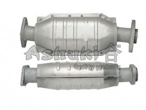 ASHUKI B510-57 katalizatoriaus keitiklis
1046135, 6732512
