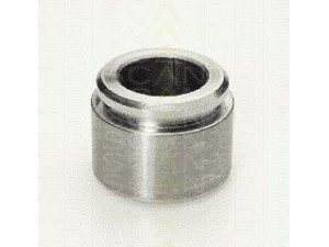 TRISCAN 8170 234216 stūmoklis, stabdžių apkaba