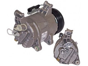 AUTOCLIMA 40420049 kompresorius, oro kondicionierius 
 Oro kondicionavimas -> Kompresorius/dalys
64521171310, 64526918122