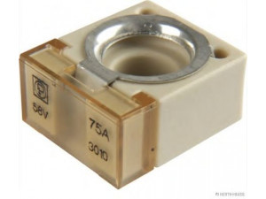 HERTH+BUSS ELPARTS 50295881 saugiklis
