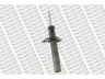MONROE 11618 amortizatorius 
 Pakaba -> Amortizatorius
5202P4, 96152100, 96152113, 5202F7