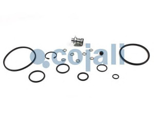 COJALI 6014610 remonto komplektas, greitinimo vožtuvas