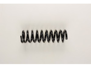BILSTEIN 36-129508 spyruoklė 
 Pakaba -> Spyruoklės
202 324 05 04