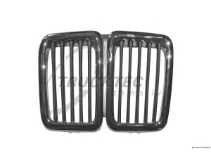 TRUCKTEC AUTOMOTIVE 08.62.236 radiatorius grotelės
51 13 1 873 253