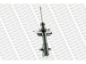 MONROE G7281 amortizatorius 
 Pakaba -> Amortizatorius
8200387238B