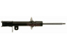 amortizatorius