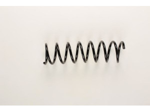 BILSTEIN 36-172160 spyruoklė 
 Pakaba -> Spyruoklės
1336394, 4M515560AHA