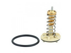 SIDAT 94.621 termostatas, aušinimo skystis 
 Aušinimo sistema -> Termostatas/tarpiklis -> Thermostat
03C121110L, 03C121110L, 03C121110L