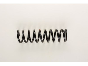 BILSTEIN 36-159529 spyruoklė 
 Pakaba -> Spyruoklės
129 321 18 04