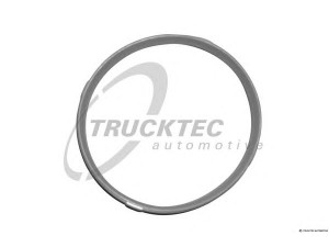 TRUCKTEC AUTOMOTIVE 08.10.060 tarpiklis, įsiurbimo kolektoriaus korpusas
11 61 1 716 174