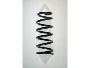 SPIDAN 55475 spyruoklė 
 Pakaba -> Spyruoklės
52441-S5V-E03