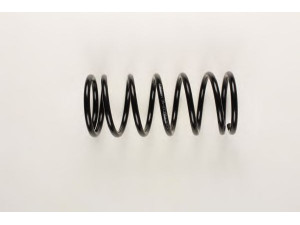 BILSTEIN 36-213962 spyruoklė 
 Pakaba -> Spyruoklės
6U7 411 105 B