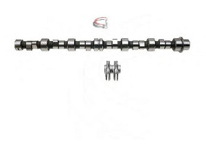 CAMPRO CP60619 skirstomojo veleno komplektas 
 Variklis -> Variklio uždegimo laiko reguliavimo kontrolė -> Skirstomasis velenas
1131 1276 441