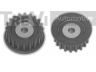 TREVI AUTOMOTIVE TD1454 kreipiantysis skriemulys, paskirstymo diržas 
 Diržinė pavara -> Paskirstymo diržas/komplektas -> Laisvasis/kreipiamasis skriemulys
94410563104