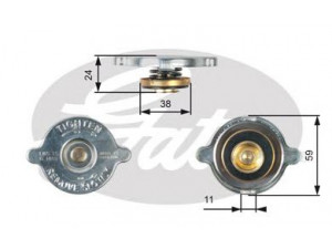 GATES RC116 radiatoriaus dangtelis 
 Aušinimo sistema -> Radiatorius/alyvos aušintuvas -> Radiatorius/dalys
95568321, 1613291, 78GB8100AC, 6315000020