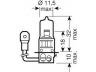 OSRAM 64151-01B lemputė, prožektorius; lemputė, priekinis žibintas; lemputė, rūko žibintas; lemputė, priekinis žibintas; lemputė, prožektorius; lemputė, rūko žibintas; lemputė, posūkio lemputė; lemputė, posūkio lemputė 
 Kėbulas -> Pagalbiniai žibintai/dalys -> Rūko žibintas/dalys -> Lemputė, rūko žibintas