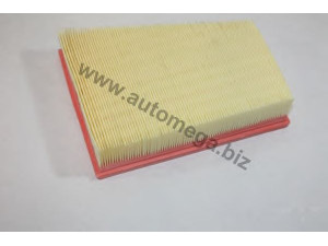AUTOMEGA 3016540670078R oro filtras
165467078R, 165467078R