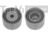 TREVI AUTOMOTIVE TD1443 įtempiklio skriemulys, paskirstymo diržas 
 Techninės priežiūros dalys -> Papildomas remontas
1350362040, 1350362040