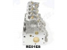 JAPANPARTS XX-RE01ES cilindro galvutė 
 Variklis -> Cilindrų galvutė/dalys -> Cilindrų galvutė
7701468293, 908095