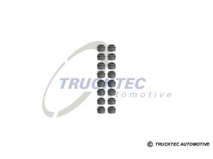 TRUCKTEC AUTOMOTIVE 02.43.165 tarpiklių komplektas, vožtuvo šerdis