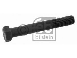 FEBI BILSTEIN 06874 varžtas
000960 016247, 000960 016247
