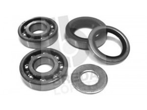 BREDA  LORETT KRT7092 rato guolio komplektas 
 Ašies montavimas/vairavimo mechanizmas/ratai -> Rato stebulė/montavimas -> Rato guolis
90043-11106, 90043-11150, 90043-63087